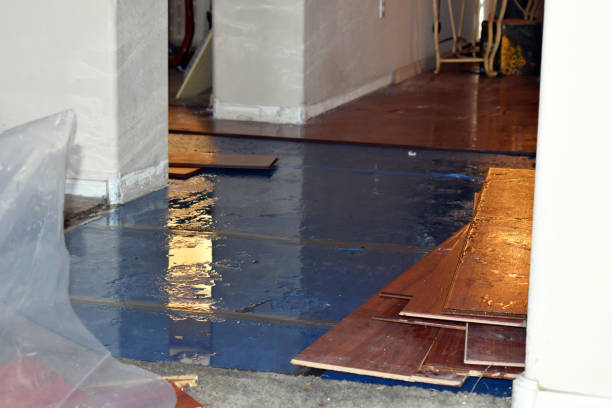 Professional Sewage Cleanup technician working in Akron, IA
